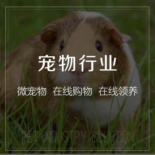 黔东南苗族侗族宠物